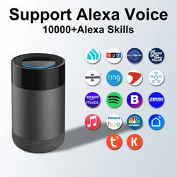 Google with Alexa Smart Speaker Home Third-generation Voice Assistant Mini Nest Bluetooth Speaker Battery Plastic Portable OEM