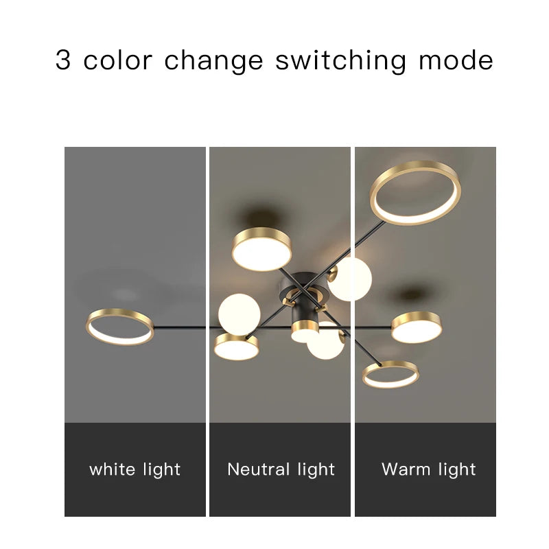 Modern Nordic Living Room Chandelier Led Smart Lights Gold Black Ceiling Lamp For Bedroom Hall Kitchen Children's Home Decor